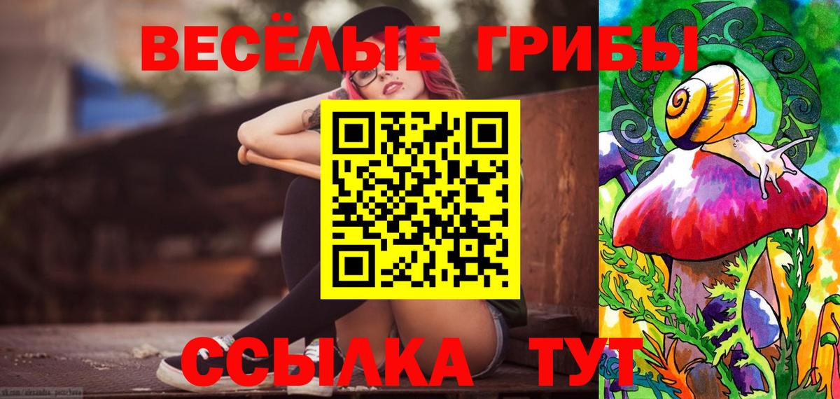 Псилоцибиновые грибы Psilocybine cubensis Майкоп