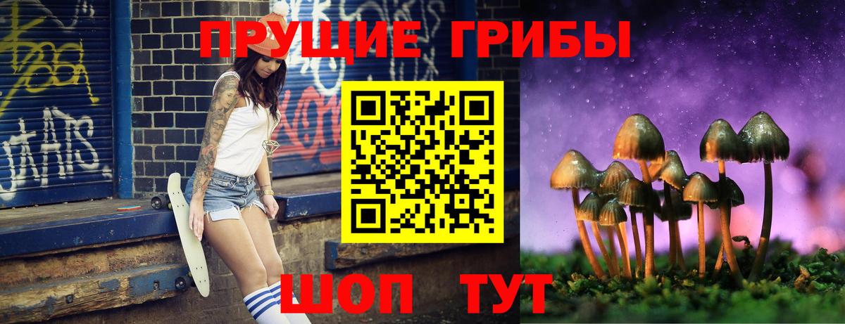 Псилоцибиновые грибы Psilocybine cubensis  Вход с VPN  Майкоп  Галлюциногенные грибы мухоморы 